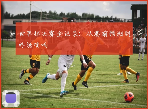 世界杯决赛全记录：从赛前预测到终场哨响