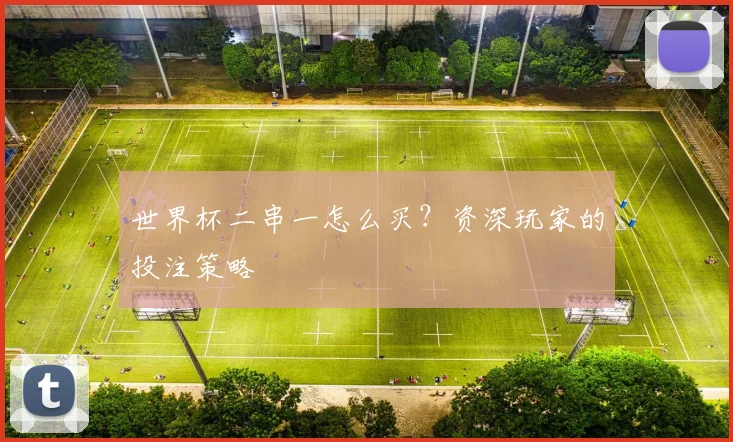 世界杯二串一怎么买?资深玩家的投注策略