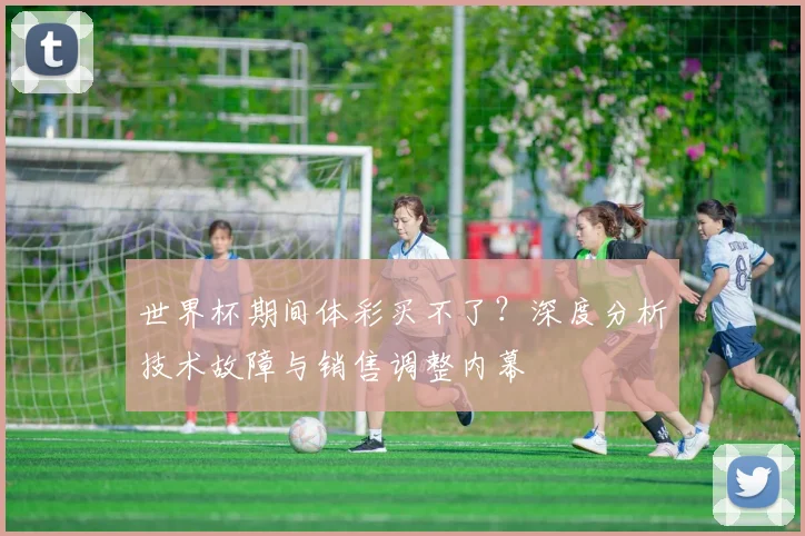 世界杯期间体彩买不了？深度分析技术故障与销售调整内幕