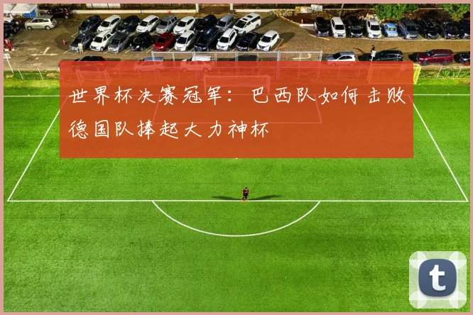世界杯决赛冠军:巴西队如何击败德国队捧起大力神杯