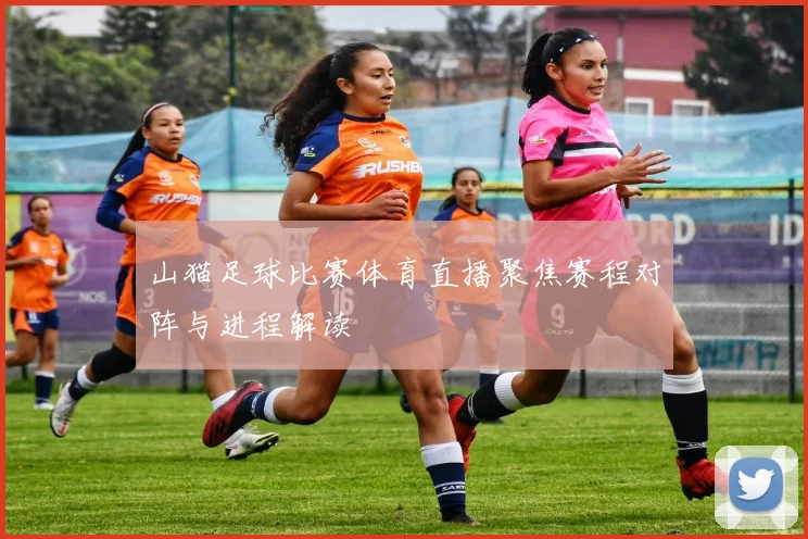 山猫足球比赛体育直播聚焦赛程对阵与进程解读